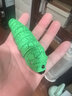 遥控毛毛虫玩具电动整蛊爬行小虫子儿童仿真昆虫动物恶作剧小礼物 电动遥控毛毛虫【青绿色】 配螺丝刀+电池6粒 实拍图