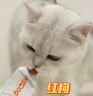 红狗RedDog 赖氨酸膏120g 猫咪营养膏调理猫胺猫膏猫用氨基酸营养牛磺酸猫鼻支 猫咪专用1支 实拍图