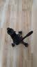 VENIDER 手机自拍杆伸缩三脚架手持防抖旅游自拍神器360度旋转全自动多功能云台稳定器抖音直播落地支架 实拍图