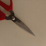 张小泉张小泉 家用剪刀手工剪刀办公剪刀红色单把装HBS-154 实拍图