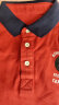 纯一良品（CUNYI）童装男童POLO衫夏季新款儿童短袖t恤中大童休闲上衣 红色 140cm 晒单实拍图