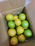 吉果叔 正宗广西茂谷柑 应当季新鲜水果薄皮脏脏柑橘石灰柑橘子整箱 净重8.5-9斤 【中果】果径60-65mm 实拍图