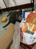 法米娜Farmina法米娜南瓜鹌鹑猫粮进口无谷猫粮成猫粮5kg 晒单实拍图