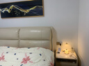 优丽美家床头灯卧室台灯简约现代台风家用宝宝喂奶结婚婚房温馨创意台灯 玻璃灯罩-充电触摸开关 按钮开关 实拍图