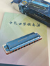 东方鼎（EAST TOP）EASTTOP 蓝调12孔FALA布鲁斯口琴灰色F1201  实拍图