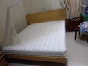 南极人 竹炭记忆海绵床垫软垫家用卧室加厚学生宿舍租房专用可拆洗活套 竹炭海绵床垫-白色【厚约5cm】 宿舍床：90x190cm【可拆洗活套】 晒单实拍图
