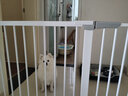 呵花楼梯口护栏婴儿童安全门栏围阳台栏杆宠物宝宝犬狗狗栅栏门免打孔 门+脚踏+加固槽 153-160cm 高76cm栏杆间隙 实拍图