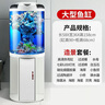 闽江（minjiang）半圆形鱼缸水族箱圆柱型金鱼缸客厅生态造景免换水锦鲤乌龟缸 纯白色+礼包+造景+升级过滤 BY560加高款（鱼缸+储物柜子） 实拍图