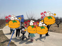 哈哈球儿童玩具软飞盘飞碟风筝大号户外亲子运动飞镖回旋镖3-6岁竹蜻蜓 汪汪对布艺风筝送30M线G6062蓝色 实拍图