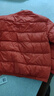 鸭鸭（YAYA）品牌2025羽绒服女新款鸭绒面包服立领秋冬潮流气质修身短款外套女 砖红色 L 实拍图