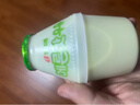 宾格瑞 哈密瓜牛奶238ml 实拍图
