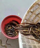 魔荒抓黄鳝专用诱饵鳝鱼饵料诱食剂捕捉黄蟮泥鳅鳝鱼王神器专用诱饵药 买2送1【狂抓大黄鳝】3袋装 实拍图