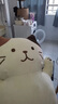 LIV HEART&HAPiNS猫咪玩偶抱枕毛绒玩具玩偶公仔生日礼物 FFN抱枕玩偶奶酪猫 75厘米 实拍图