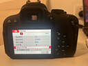 佳能（Canon）EOS 750D 760D 800D 850D 77D 二手单反相机高清数码照相机 99新 800D 单机身 标配【无内存卡等配件，套餐更划算】 99新 实拍图
