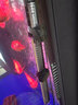 森森（SUNSUN）鱼缸加热棒自动恒温水族箱防爆加热器鱼缸水族用品 高硼硅玻璃300W(31cm长) 实拍图