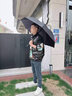 Euro SCHIRM EBERHARD GOBEL德国风暴伞 一甩即干 轻量加固加厚防风男士晴雨两用长柄伞 W208 黄色 实拍图