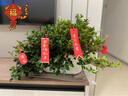 千怡 乔迁之喜装饰搬家礼物用品全套树上盆景小挂件新居必备仪式 乔迁小挂件（29件套） 实拍图