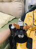佳能（Canon） EOS 200D二代 200d2代单反相机入门单反vlog迷你单反数码照相机 200DII银色拆单机+佳能小痰盂人像镜头套装 套餐一【含64G内存卡~送豪华摄影大礼包】 实拍图