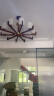雷士（NVC）新中式吊灯中式现代客厅灯黄铜海棠木餐厅书房灯国风LED灯具套餐 福寿10头 铜木吊灯-带7瓦3色光源 晒单实拍图