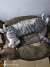 伟嘉成猫猫粮1.3kg海洋鱼味布偶蓝猫橘猫加菲英短猫咪全价粮 实拍图