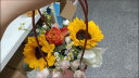 初朵11朵向日葵玫瑰花束香皂花篮鲜同城配520情人节礼物生日送女朋友 实拍图