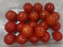 京鲜生 千禧圣女果 小西红柿樱桃番茄 500g装 生鲜水果 晒单实拍图