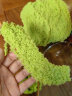 班哲尼毛线团粗编织DIY毯帽子围巾珊瑚绒手工宝宝儿童幼儿园中细毛线球 晒单实拍图