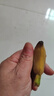 曜果广西香蕉 小米蕉   新鲜水果 生鲜 生果 小米蕉是小的 9斤 （青蕉需催熟后食用） 实拍图