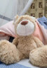 NICI520情人节礼物生日玩偶抱枕毛绒泰迪熊亨尼熊毛绒玩具公仔送女生 实拍图