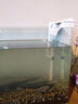 森森 水族鱼缸过滤器 外置壁挂过滤器 去除油膜瀑布式过滤 EBL-403佳璐5W带除油膜(60cm内缸用 ) 实拍图