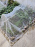 遇植（YUZHI）种菜防虫网种菜 农用防虫网农用蔬菜防虫网大棚地种菜专用网 纱网 10根5毫米2.2米长适用1.3米宽 晒单实拍图