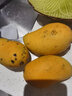 京鲜生海南小台农芒果 净重8斤 单果100g+ 新鲜水果 源头直发 实拍图