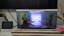 喜高超白玻璃鱼缸智能鱼缸免换水小型客厅水族箱一体式过滤氧气鱼缸 白-鱼缸+造景+加热棒 600*268*322mm 实拍图