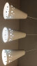 雷士（NVC）LED餐吊灯餐厅吧台灯具现代简约 白色餐吊 NDBD03A/2-005 晒单实拍图