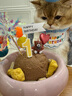布丁喵喵 宠物生日围兜帽子 蓝色【赠生日蜡烛】狗狗猫咪生日派对装饰拍照 实拍图