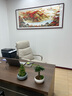 迅典国画山水画鸿运当头挂画客厅装饰画办公室字画风水画沙发背景墙画 Q款【鸿运当头】 【推荐】实木带框203*83CM(有机玻璃） 实拍图