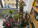 华观家居（Home Giving Furniture）多层实木花架阳台置物架室内花架子客厅落地式多肉绿萝花盆植物架 B款碳色带轮 实拍图
