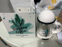 杯具熊（BEDDYBEAR）双层玻璃杯家用男女茶水分离带手柄办公室泡茶杯花茶杯子防烫手 仙人柱双层玻璃杯320ml 实拍图