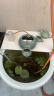 浅池古法流水缸生态鱼缸循环增氧过滤器陶罐组合阳台庭院造景装饰摆件 大号-复古蓝陶罐8mm接口 晒单实拍图