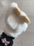 晨阴可爱帕恰狗连指毛绒手套女生冬季卡通保暖加绒学生冬天骑车防寒冻 卡其色小狗手套 实拍图
