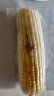 北纬47°（BEIWEI） 黄糯玉米200g*10穗低脂玉米棒东北黄糯玉米杂粮杂粮礼盒尔滨特产 晒单实拍图