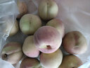 采缇山东青州冬雪蜜桃5斤新鲜水果应当季脆甜桃小冬桃整箱 3斤装 优质果75g左右 实拍图