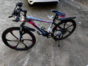 金武端自行车成人山地车公路赛车单车骑行变速超轻越野中学生初中青少年 旗舰版-六刀轮-炫彩蓝 26寸27速 实拍图