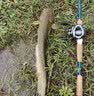 达亿瓦（DAIWA）21秋冬DC-9121CS 休闲棒球帽鸭舌帽户外遮阳帽钓鱼帽透气六方帽 黑*银 均码 实拍图