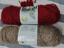 衣织都绣松鼠绒亮丝线金丝绒棒针中粗手工diy编织宝宝帽子围巾外套毛线团 铁锈红32 实拍图