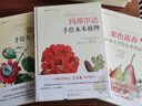 博物画大师手绘图谱：雷杜德手绘花卉图谱+玛蒂尔达手绘木本植物+果色花香：圣伊莱尔手绘花果图志（套装共3册 附赠精美手账） 实拍图