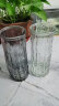 卡苏（KASU）101轻奢创意直筒透明花瓶现代玻璃花瓶水养富贵竹器餐桌摆件 2个装【款式随机】 实拍图