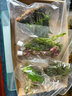 西游水族鱼缸水族箱客厅小型迷你桌面免换水生态造景小金鱼缸热弯超白玻璃 长30*宽18*高20-水秀青山款造景全套 实拍图