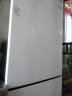 TCL 186升双门养鲜冰箱节能环保风冷无霜冰箱 小型冰箱 迷你电冰箱 便捷电子温控冰箱BCD-186WZA50 晒单实拍图