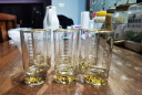 卢咖芮斯二两金山白酒杯水晶玻璃金箔100ml酒盅带刻度2两杯酒具 金山2两杯6只 100ml 6只 实拍图